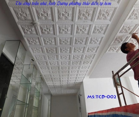 Thạch cao | 5000 MẪU THẠCH CAO ĐẸP
